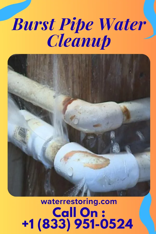 Burst Pipe Water Cleanup in Drexel, OH