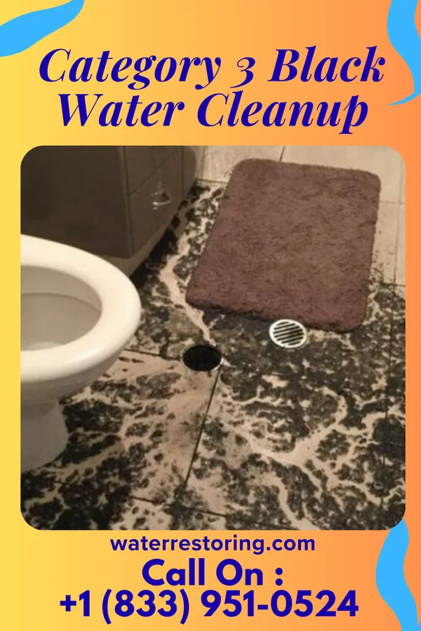Category 3 Black Water Cleanup in Drexel, OH