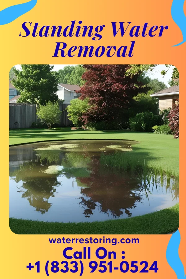 Standing Water Removal in Drexel, OH